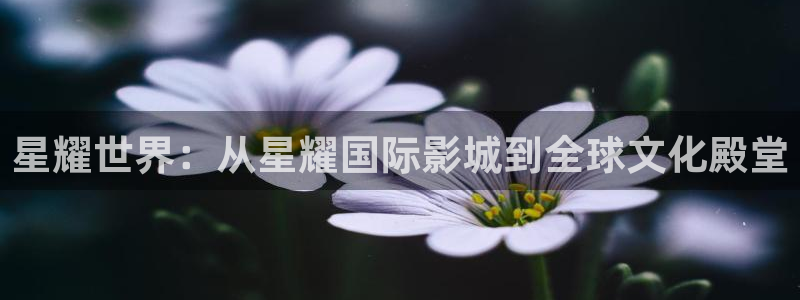 幸运彩平台注册入口：星耀世界：从星耀国际影城到全球文化殿堂