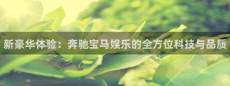 幸运彩vk：新豪华体验：奔驰宝马娱乐的全方位科技与品质