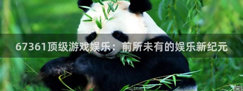 幸运彩2平台：67361顶级游戏娱乐：前所未有的娱乐新纪元