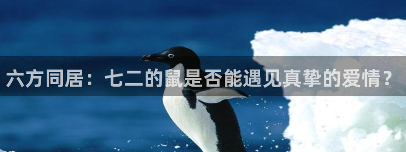 幸运彩5注册：六方同居：七二的鼠是否能遇见真挚的爱情？