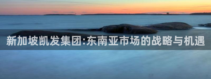 幸运彩登陆：新加坡凯发集团:东南亚市场的战略与机遇