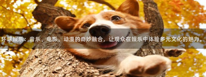 幸运彩集团总部：环球娱乐：音乐、电影、动漫的奇妙融合，让观众在娱乐中体验多元文化