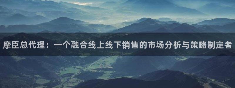 幸运彩电子有限公司：摩臣总代理：一个融合线上线下销售的市场分析与策略制定者