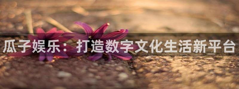 幸运彩电子有限公司：瓜子娱乐：打造数字文化生活新平台