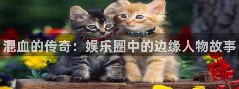 幸运彩平台官网：混血的传奇：娱乐圈中的边缘人物故事