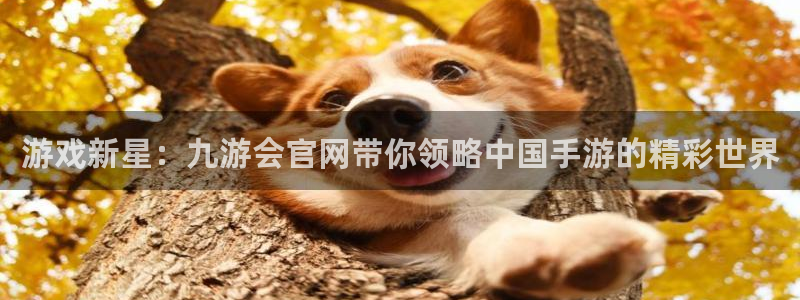 幸运彩官网：游戏新星：九游会官网带你领略中国手游的精彩世界