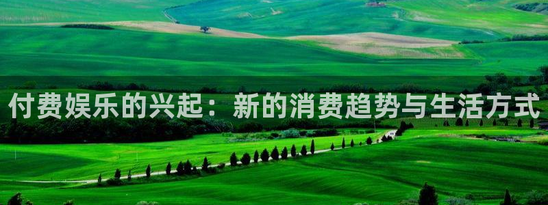 幸运彩体育4：付费娱乐的兴起：新的消费趋势与生活方式