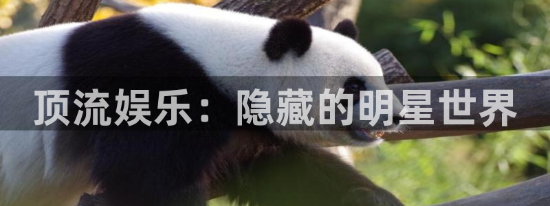 幸运彩体育热门赛事有哪些：顶流娱乐：隐藏的明星世界