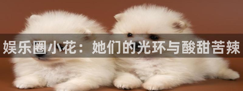 幸运彩体育凯捷代理注册：娱乐圈小花：她们的光环与酸甜苦辣